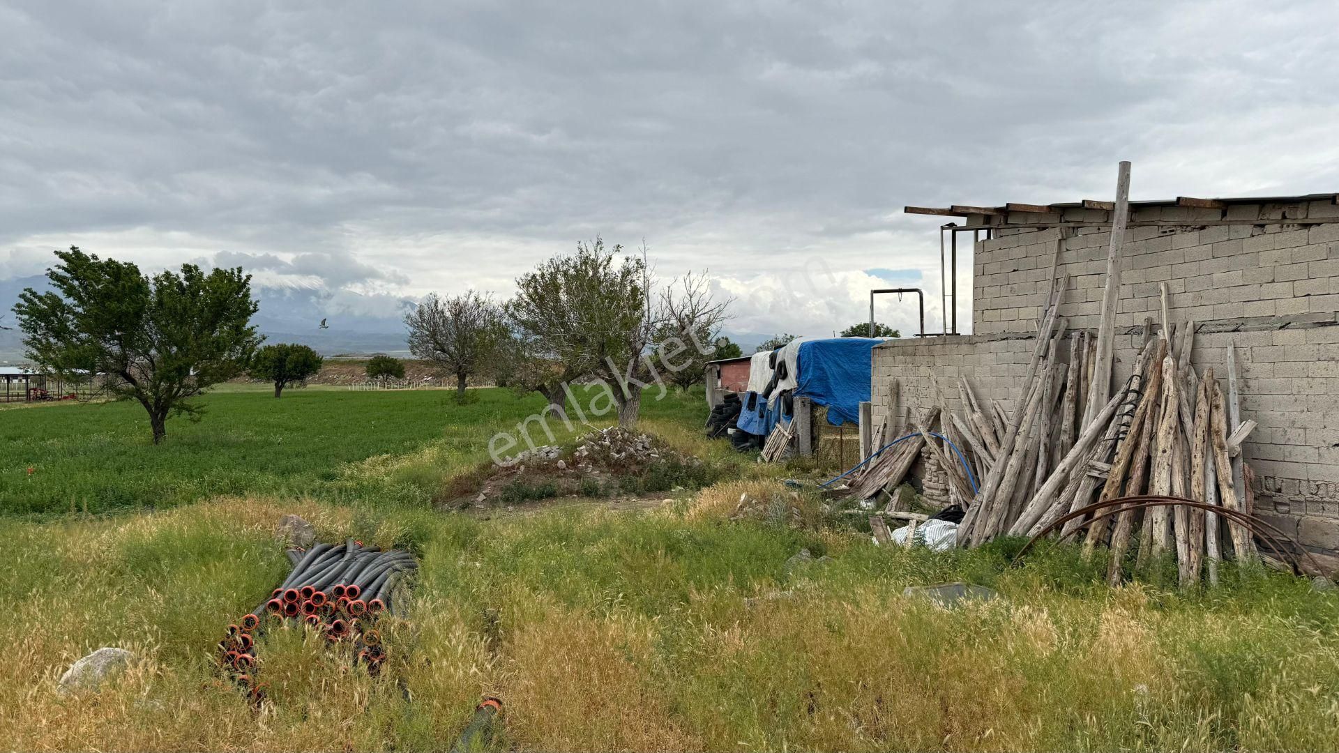 Öz Gaye Emlaktan Develi Güneyaşağı Tekkefıdını Mevkinde Satılık Bahçe