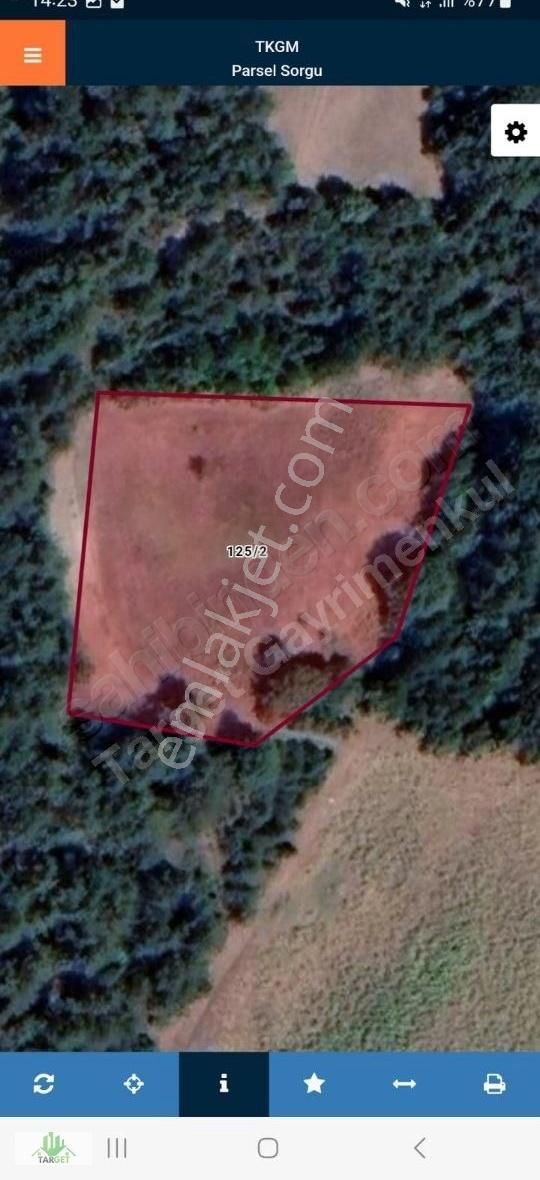 Target Gayrimenkul'den Bilecik Gölpazarı Kavak Köyü'nde