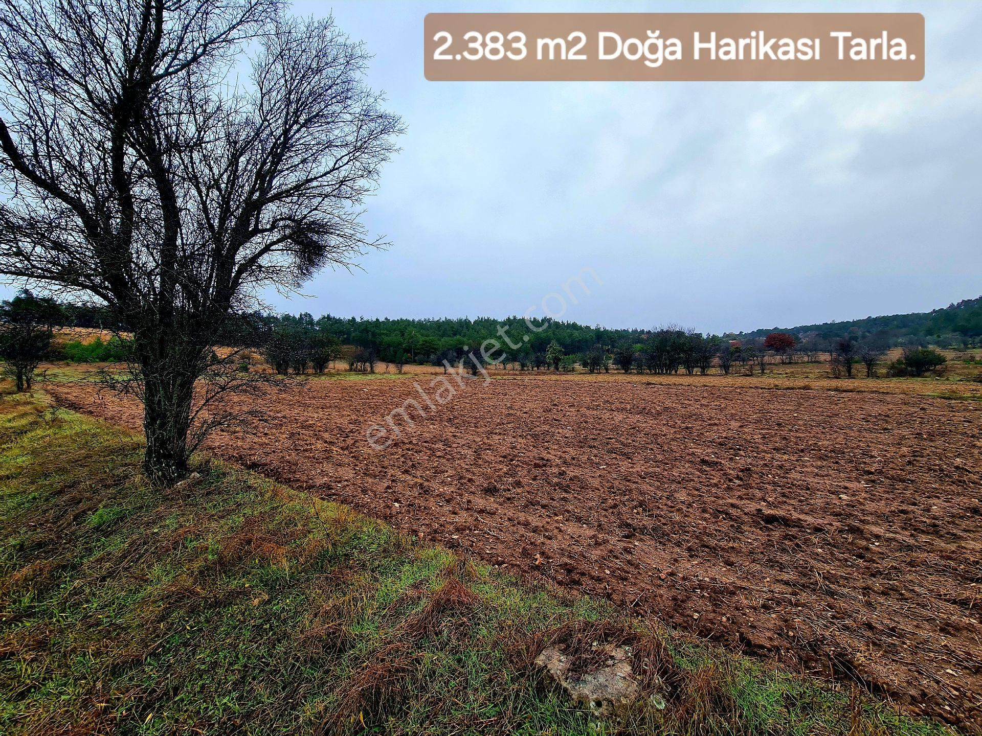Balıkesir Dursunbey Alagüney'de 2.383 M2 Düz Tarla. Açıklamayı Okuyunuz.