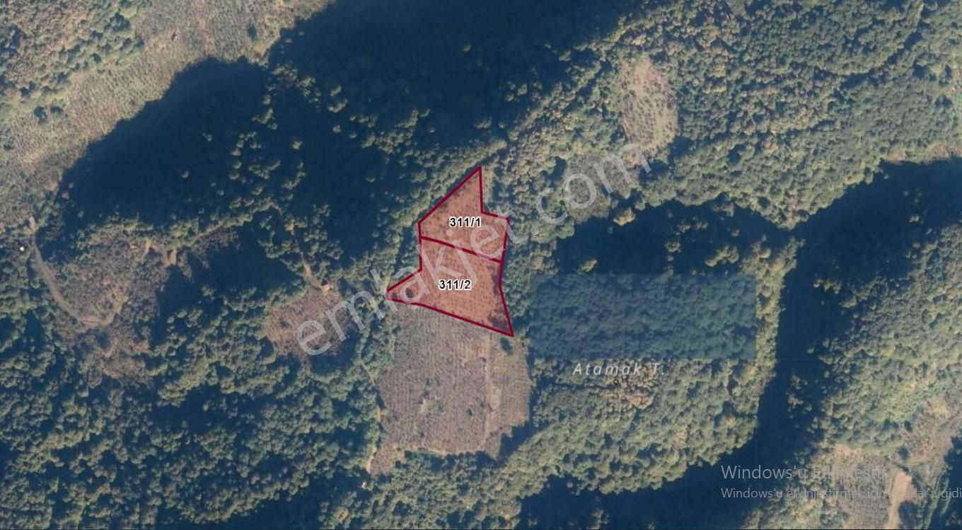 Erenler Değirmenderede Satılık Fındıklık 311/1