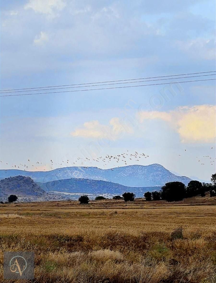 Burdur Merkez Kozlucada Yatırımlık Doğa İle İç İçe Satılık Tarla