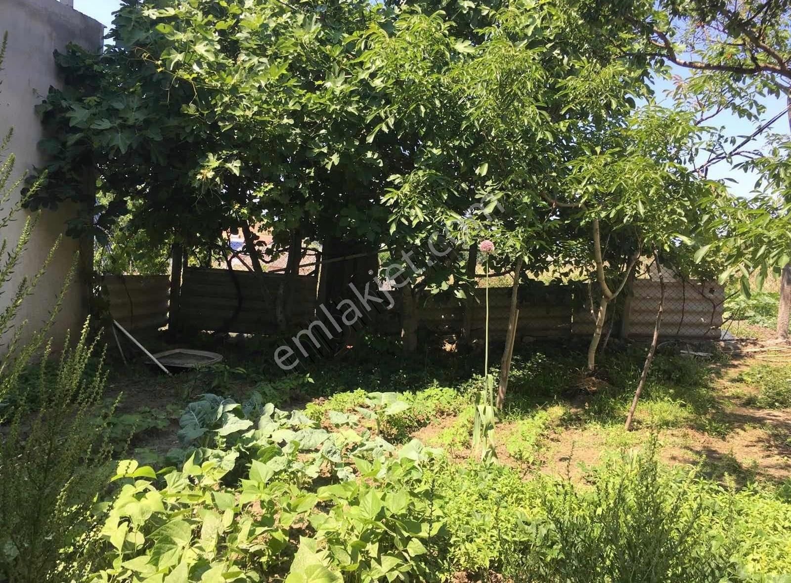 Hd'den Mesudiye'de Bahçeli Ev - Görsel 4