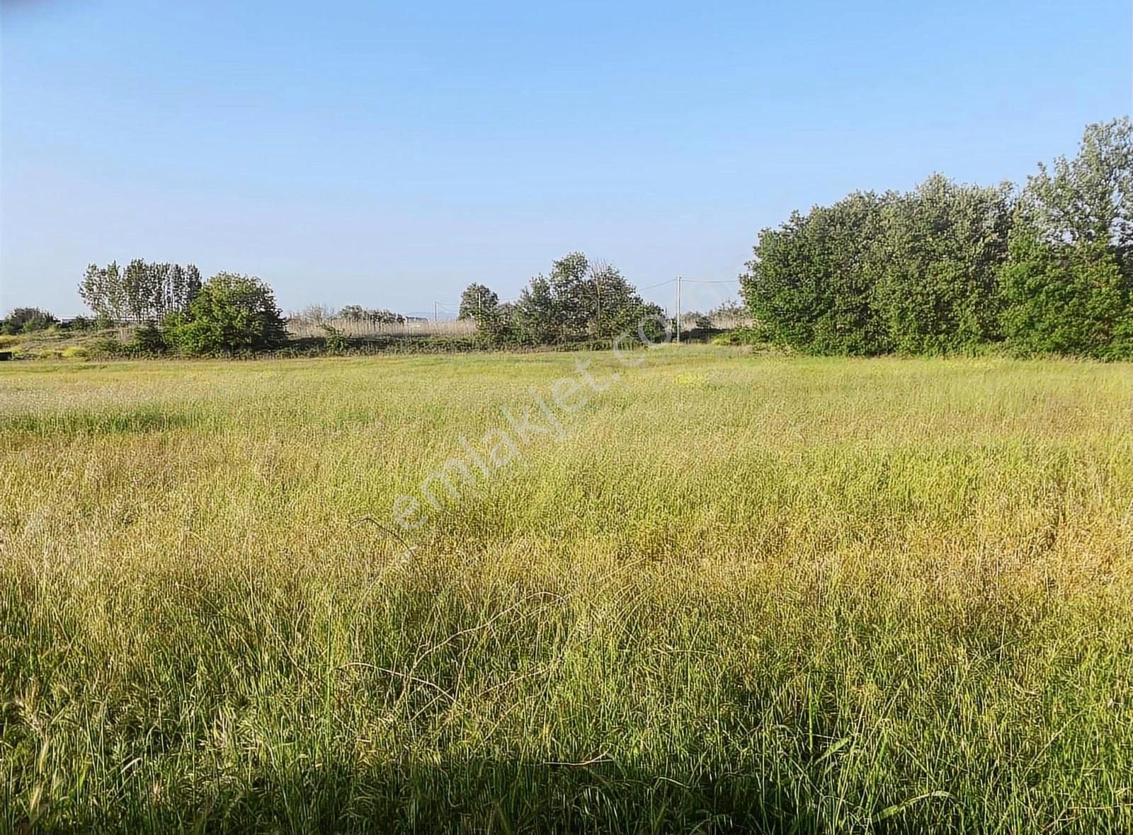 İzmir Yoluna Yakın Depo &fabrika Yapımına Uygun Arazi - Görsel 5