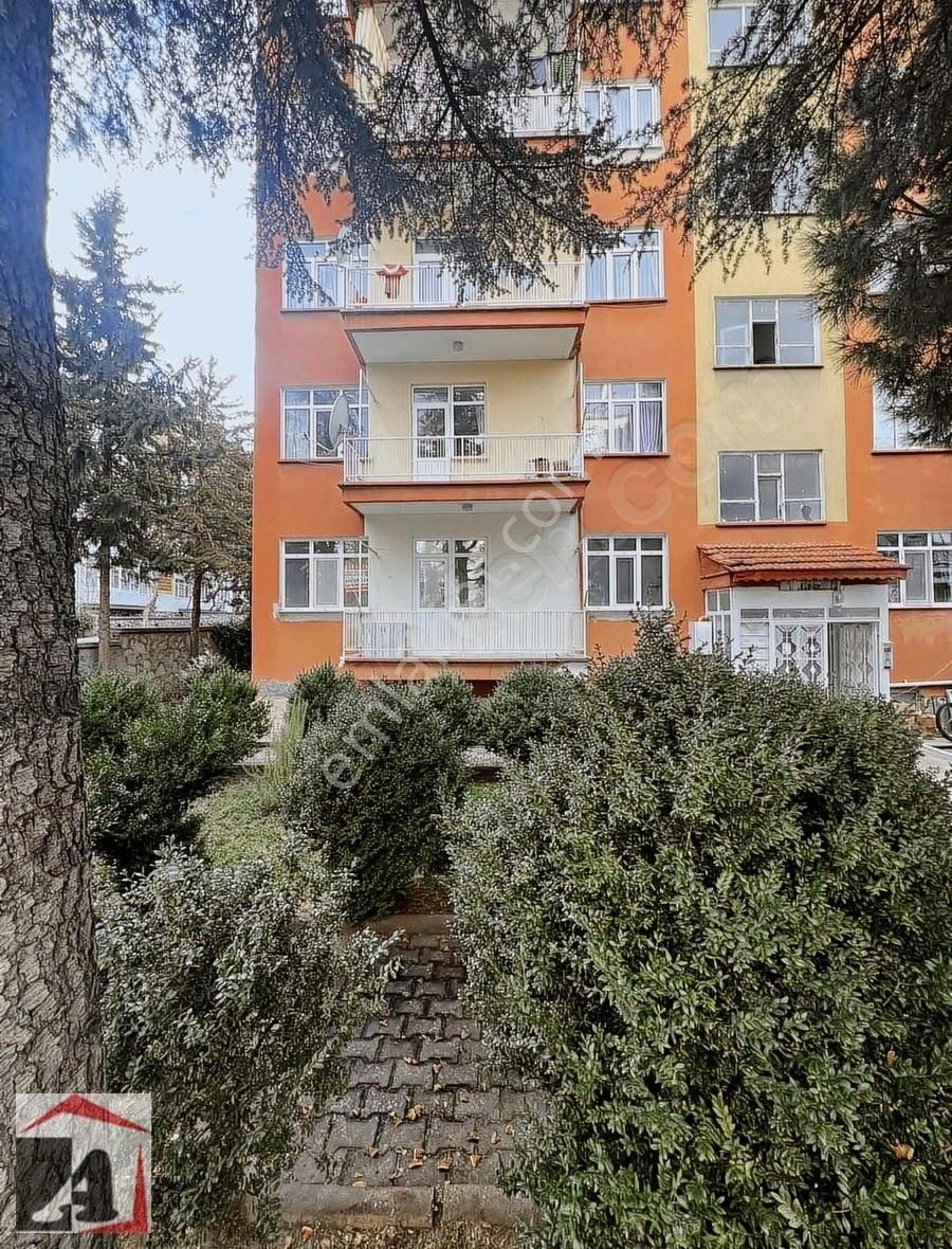 Kiralık 3+1