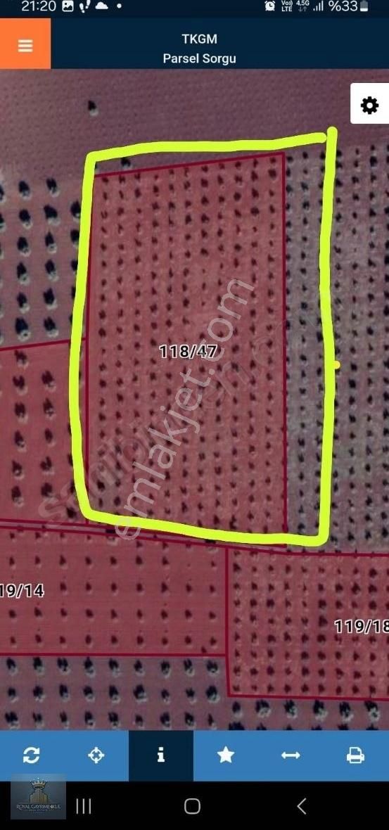 Süngütepe'de Satılık Zeytinlik