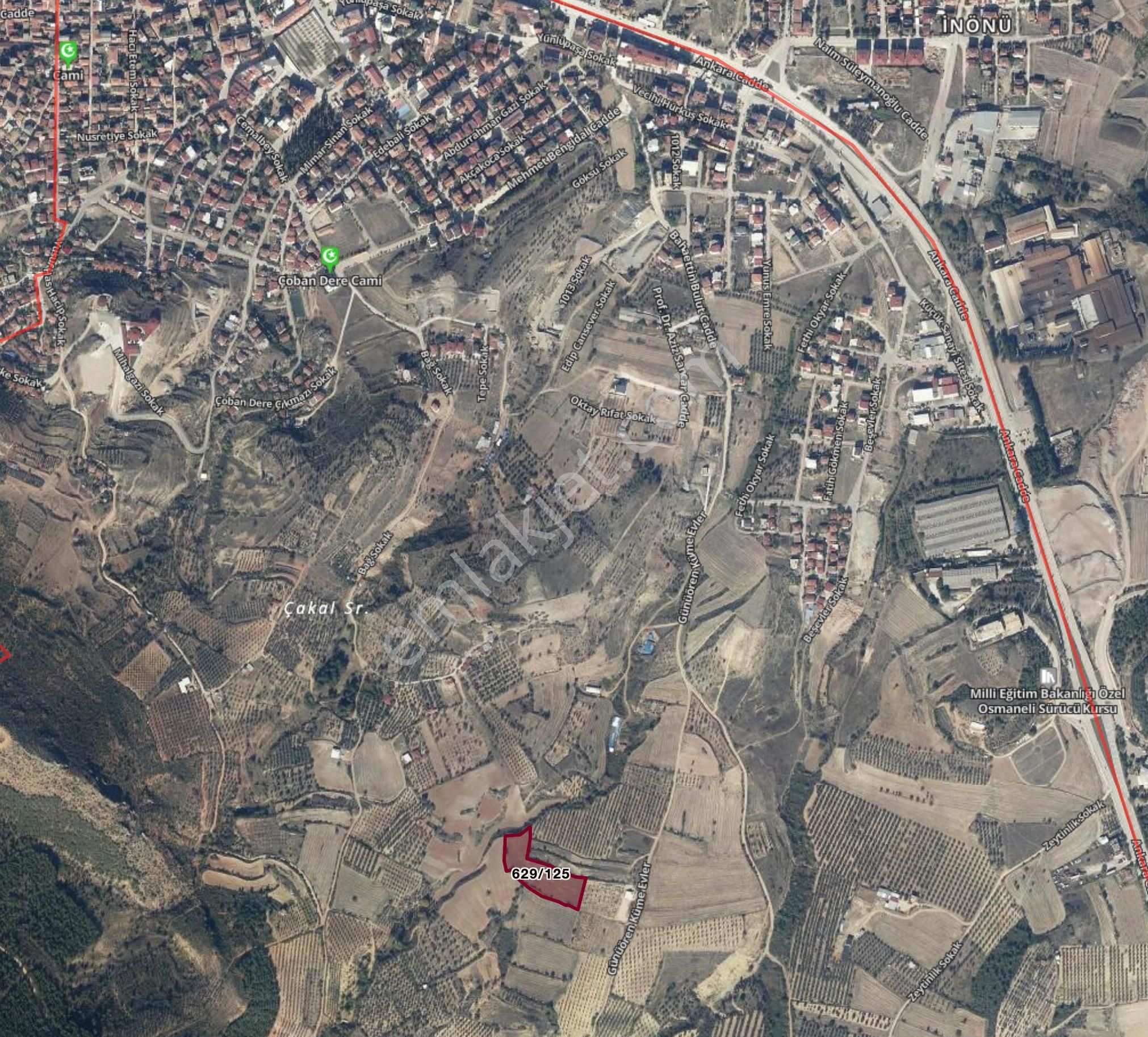Yatırımlık Kupon Arsa Bilecik Osmanelide 7 Dönüm Tarla