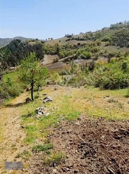 Balıkkesir Dursunbey Akyaylada 3.507m2 Satılık Tarla