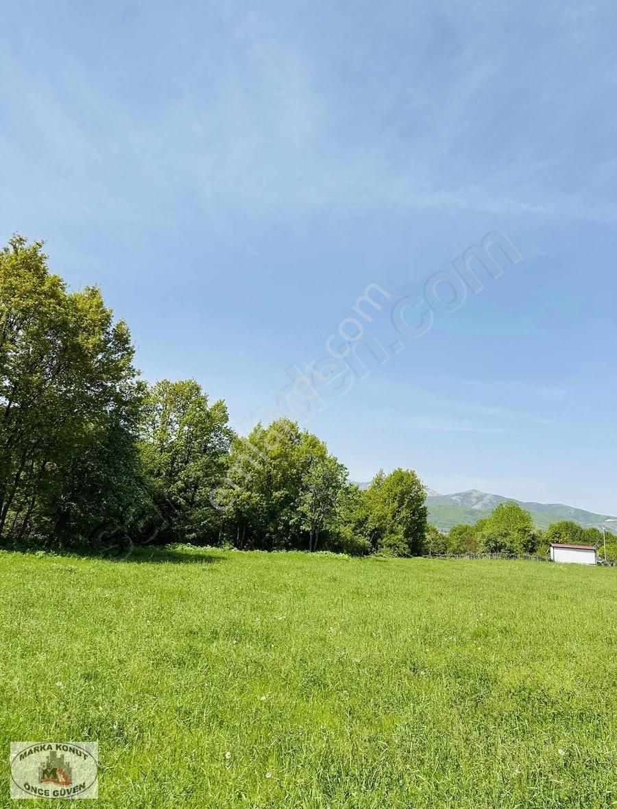 Satılık 8 Dönüm Hanelmalı(xuzurkin) Tarla