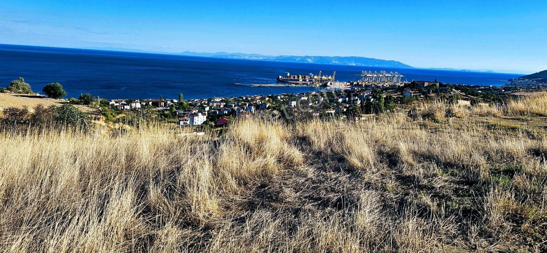 Acil Satılık Full Deniz Ve Doğa Manzaralı 530 M2 Kupon Arsa
