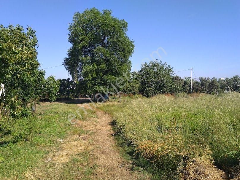 Bursa Mudanya Denize-merkeze Yakın, 1/1000 Planda, Evlere Komşu, Uygun Fiyata, Resmi Tapu