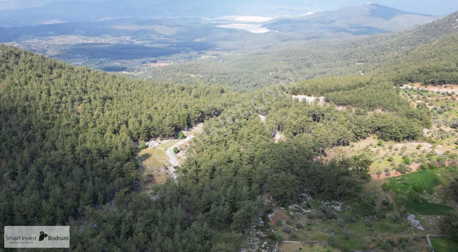 Milas Fesleğende Doğa İçinde Yatırımlık Tarla - Görsel 8
