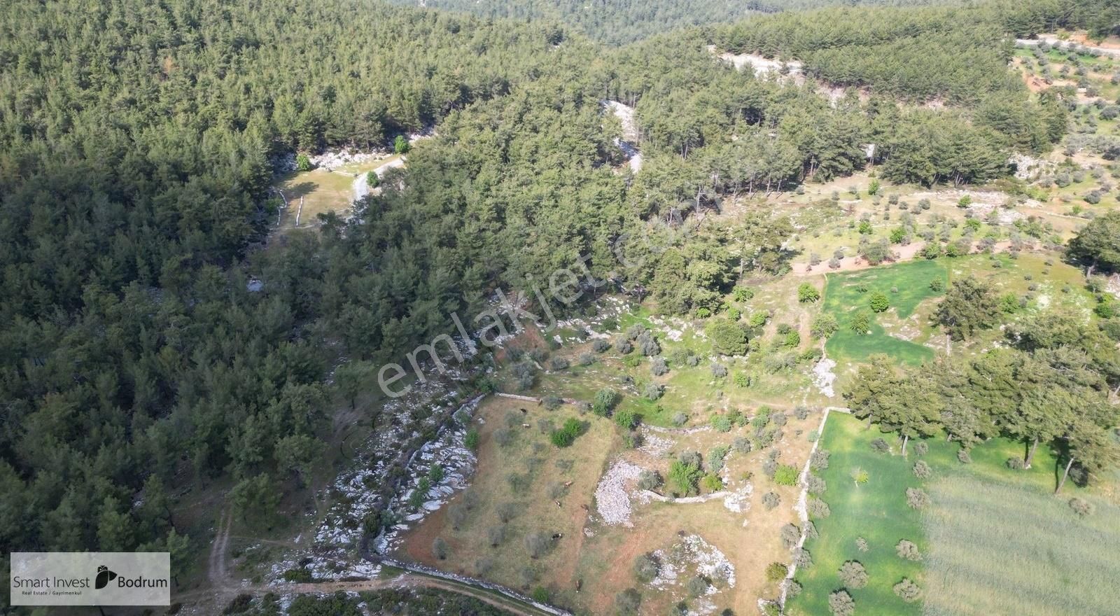 Milas Fesleğende Doğa İçinde Yatırımlık Tarla - Görsel 13