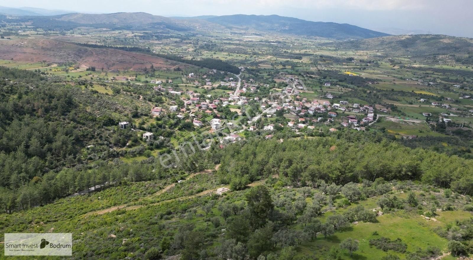 Milas Kısırlarda Köy Ve Doğa Manzaralı Bakımlı Fırsat Zeytinlik - Görsel 8