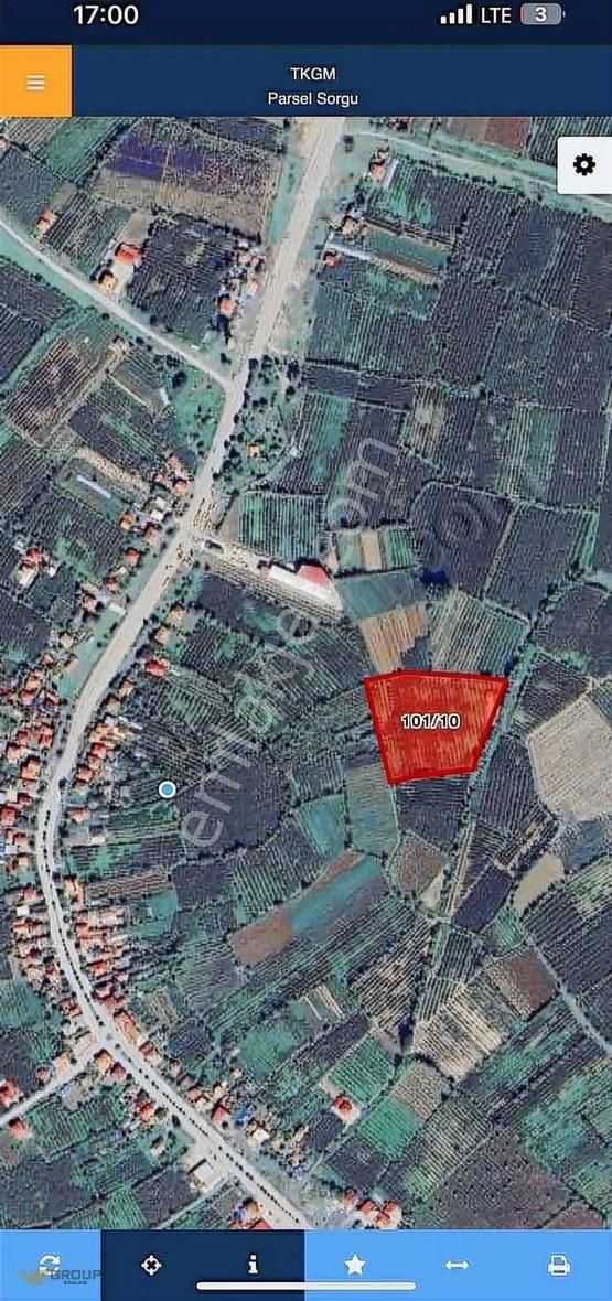 Acil Satılık Çarşamba Kavacık Satılık Fındık Tarlası