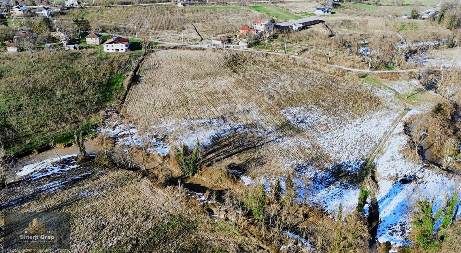 Sinerji Grup'tan Ortasından Akarsu Akan 29 Dönüm Tarla