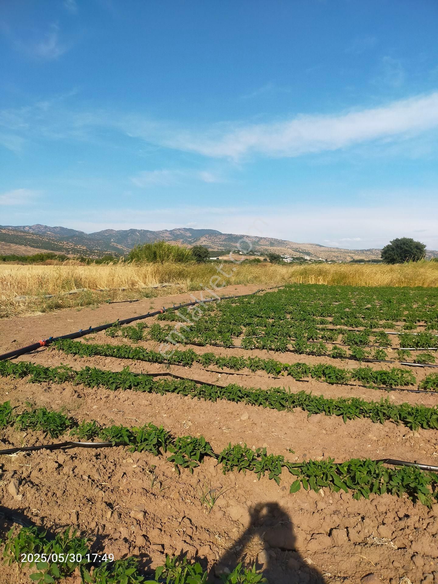Saadet Korkmaz Emlak'tan Kabakum'da Satılık 26 Dönüm Tarla - Görsel 21