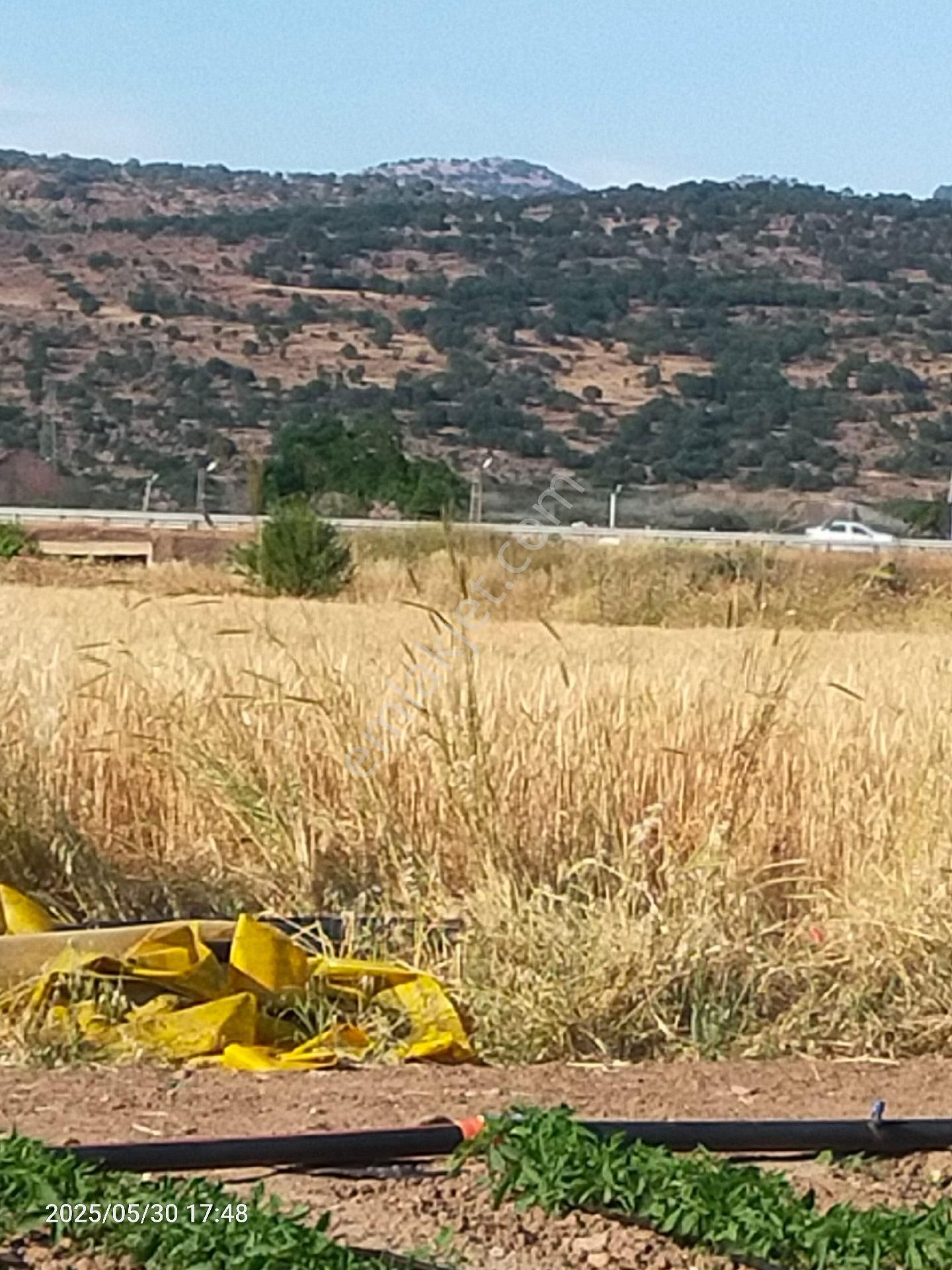 Saadet Korkmaz Emlak'tan Kabakum'da Satılık 26 Dönüm Tarla - Görsel 8