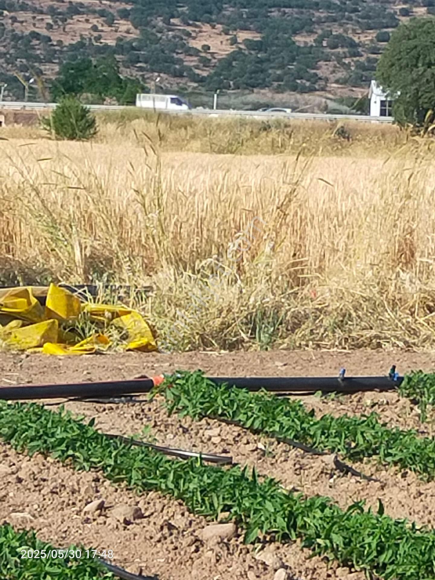 Saadet Korkmaz Emlak'tan Kabakum'da Satılık 26 Dönüm Tarla - Görsel 10