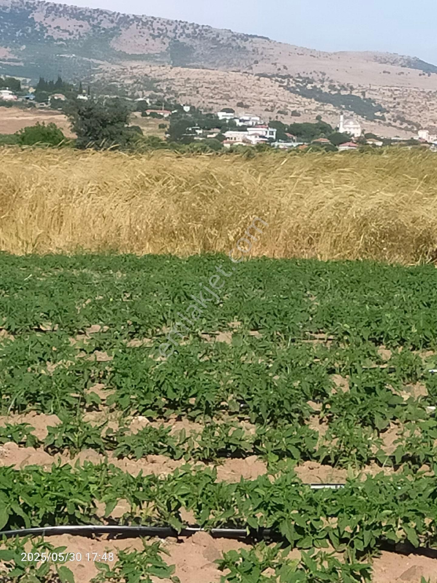 Saadet Korkmaz Emlak'tan Kabakum'da Satılık 26 Dönüm Tarla - Görsel 17