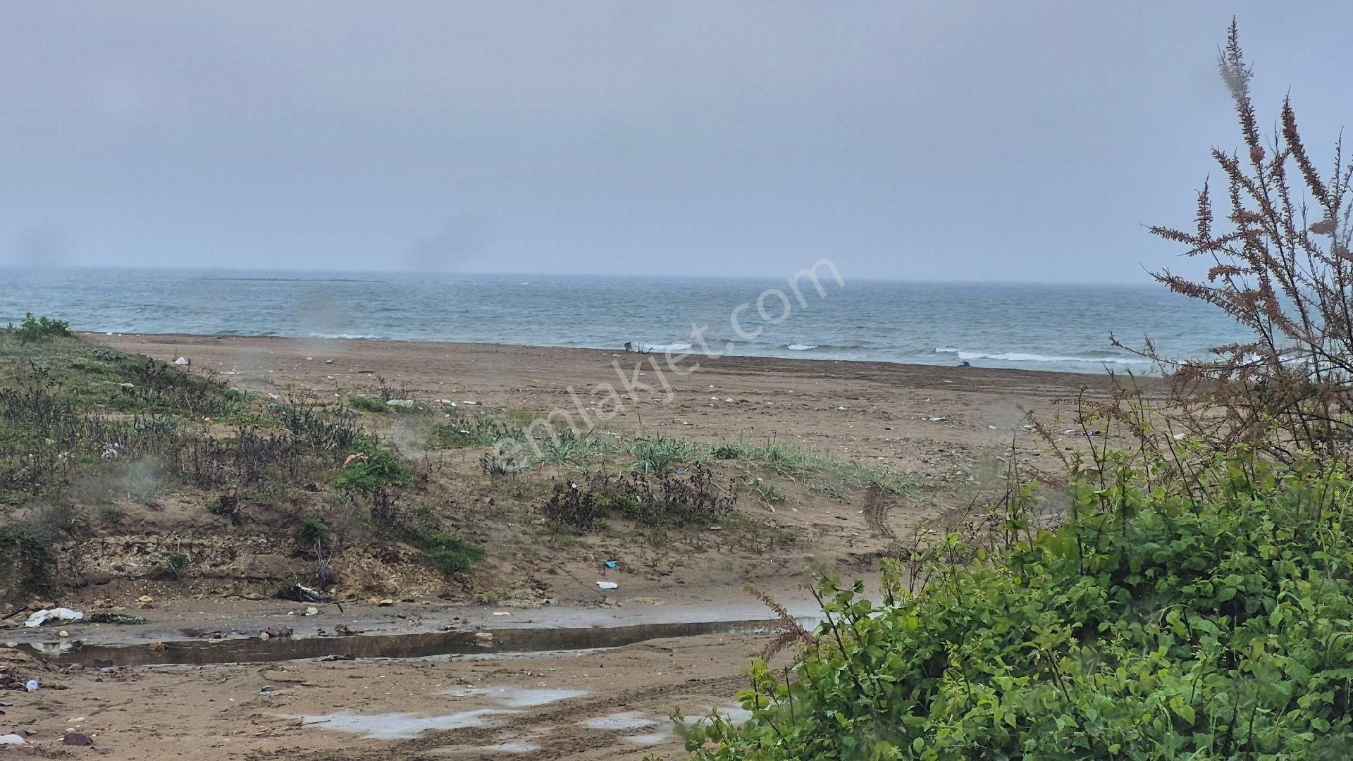 Kocaeli Kandıra Çamkonak Ta Ana Cadde Üzerinde Ormana Ve Denize Yakın - Görsel 23