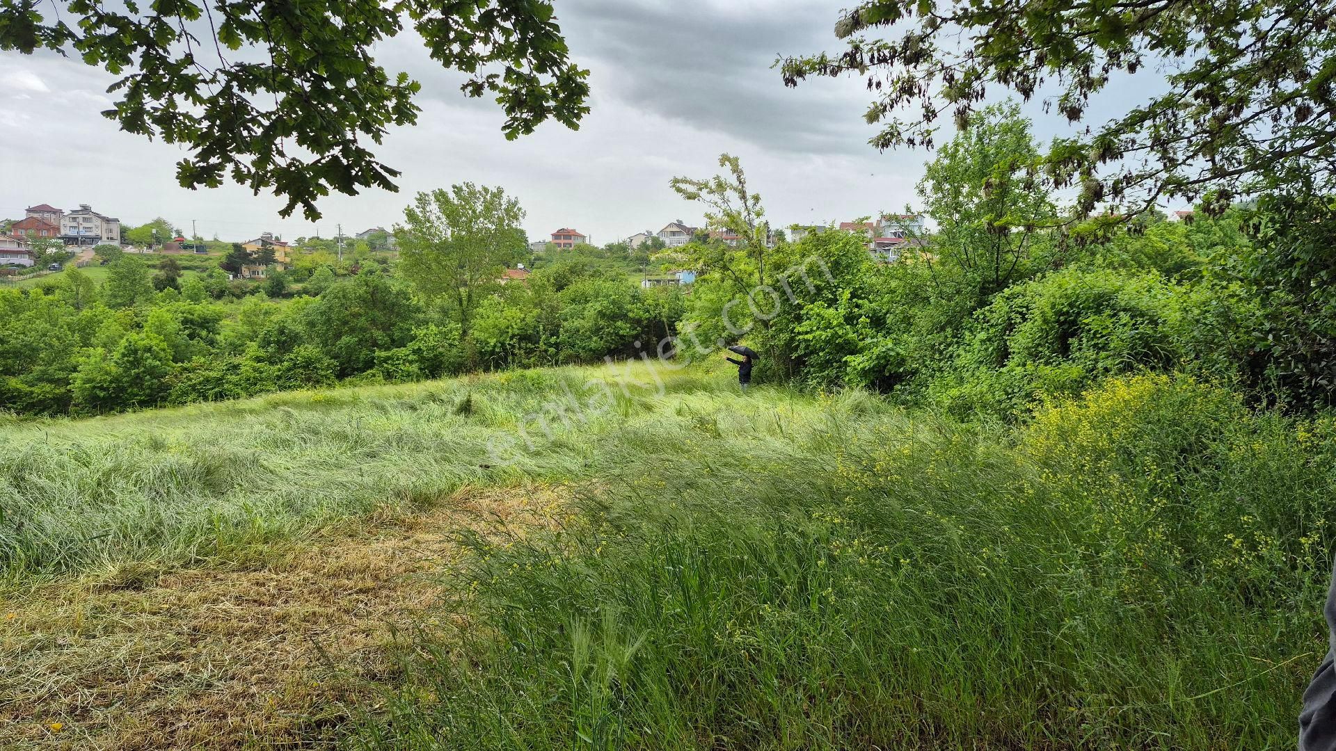 Kocaeli Kandıra Çamkonak Ta Ana Cadde Üzerinde Ormana Ve Denize Yakın - Görsel 13