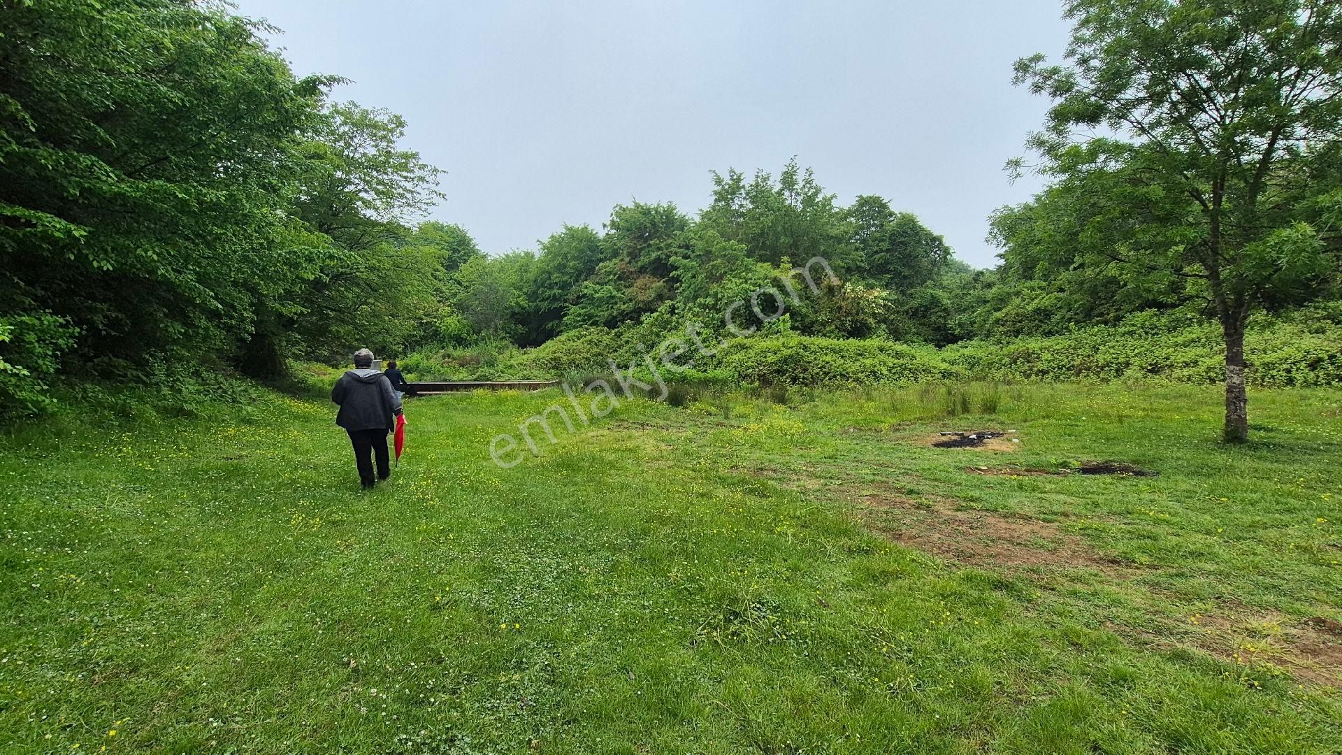 Kocaeli Kandıra Çamkonak Ta Ana Cadde Üzerinde Ormana Ve Denize Yakın - Görsel 21