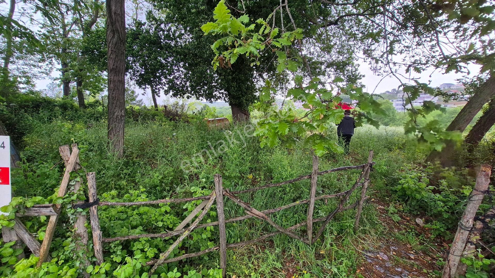 Kocaeli Kandıra Çamkonak Ta Ana Cadde Üzerinde Ormana Ve Denize Yakın - Görsel 4