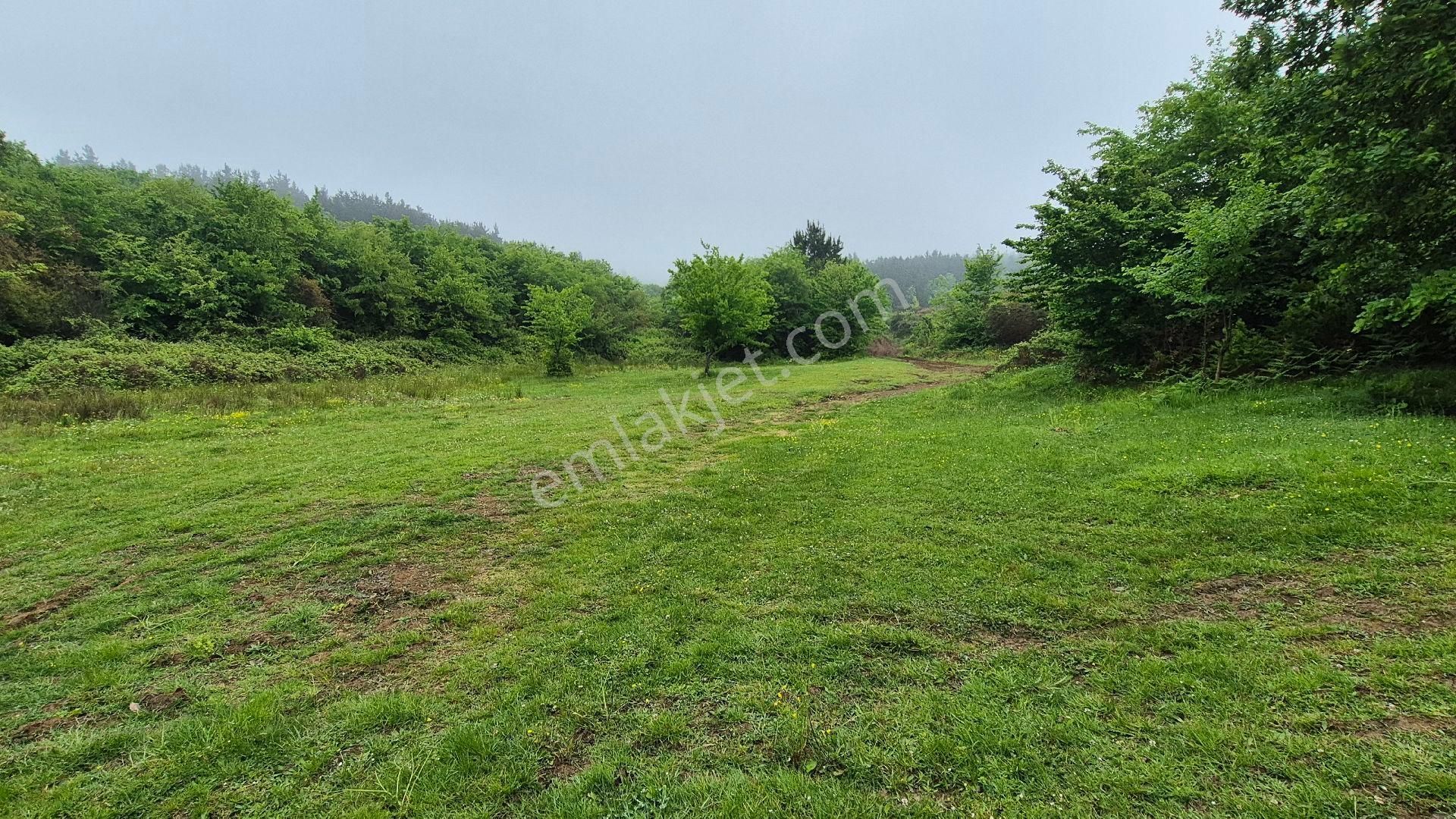 Kocaeli Kandıra Çamkonak Ta Ana Cadde Üzerinde Ormana Ve Denize Yakın - Görsel 20