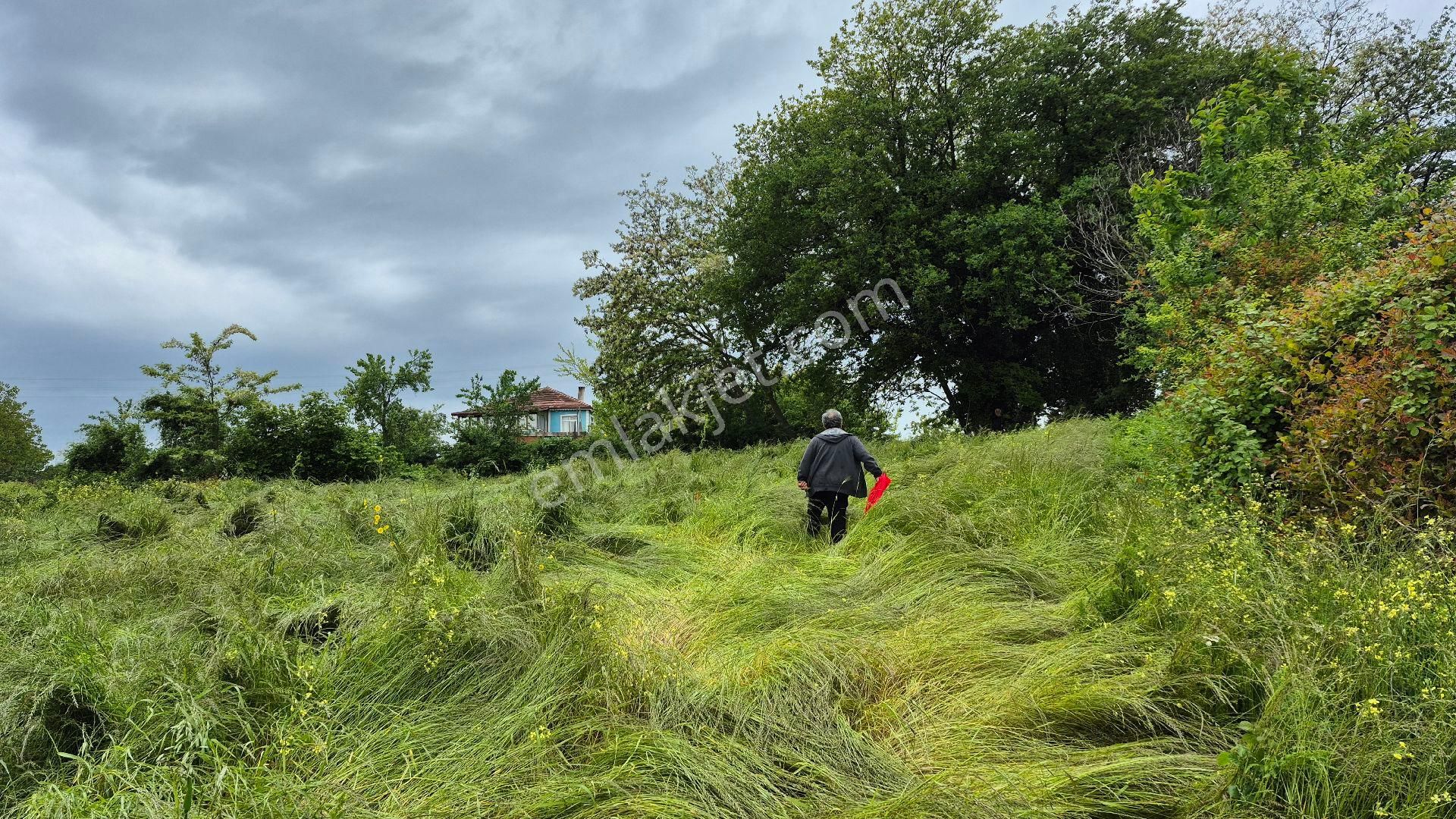 Kocaeli Kandıra Çamkonak Ta Ana Cadde Üzerinde Ormana Ve Denize Yakın - Görsel 8