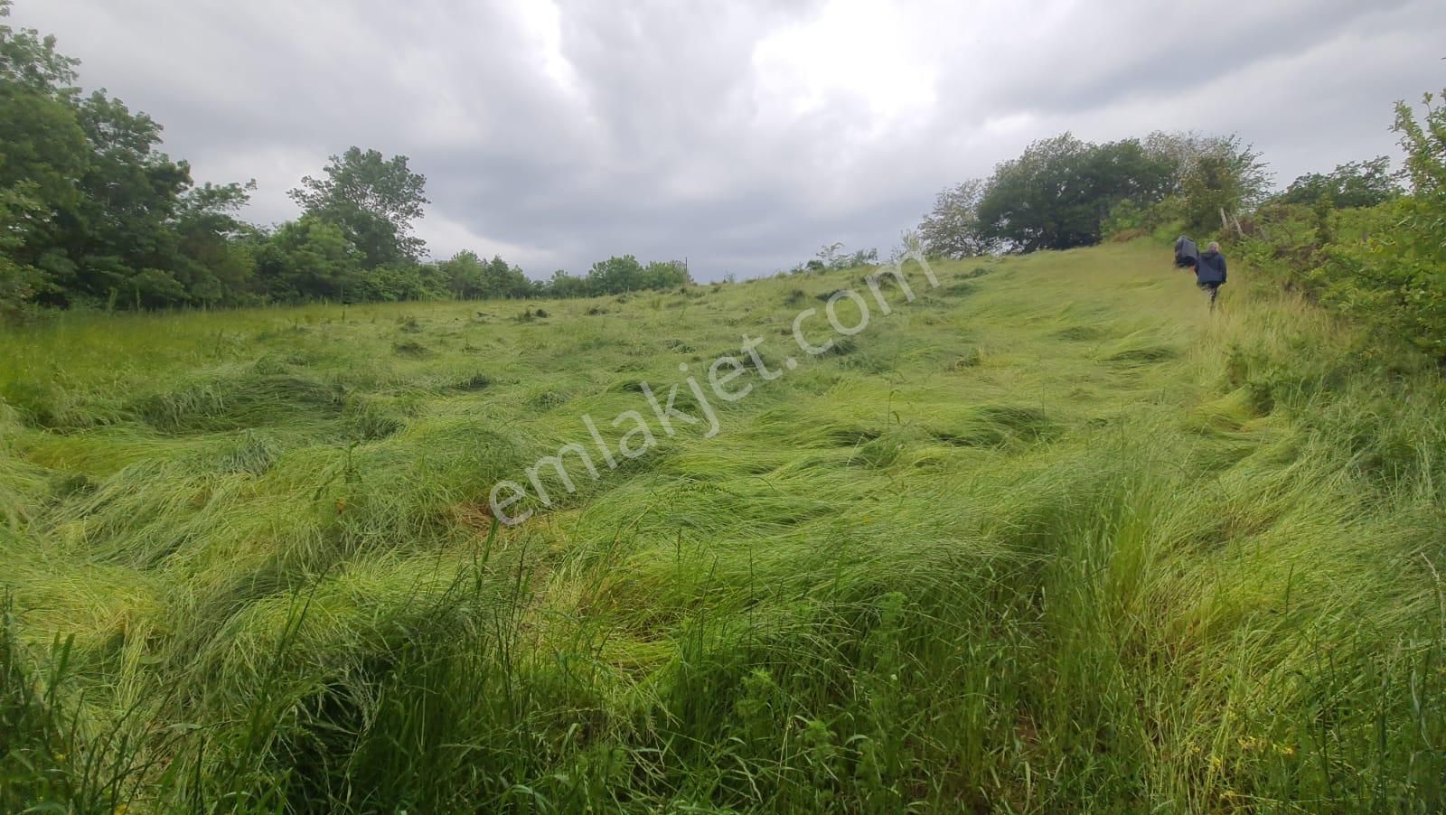 Kocaeli Kandıra Çamkonak Ta Ana Cadde Üzerinde Ormana Ve Denize Yakın - Görsel 6