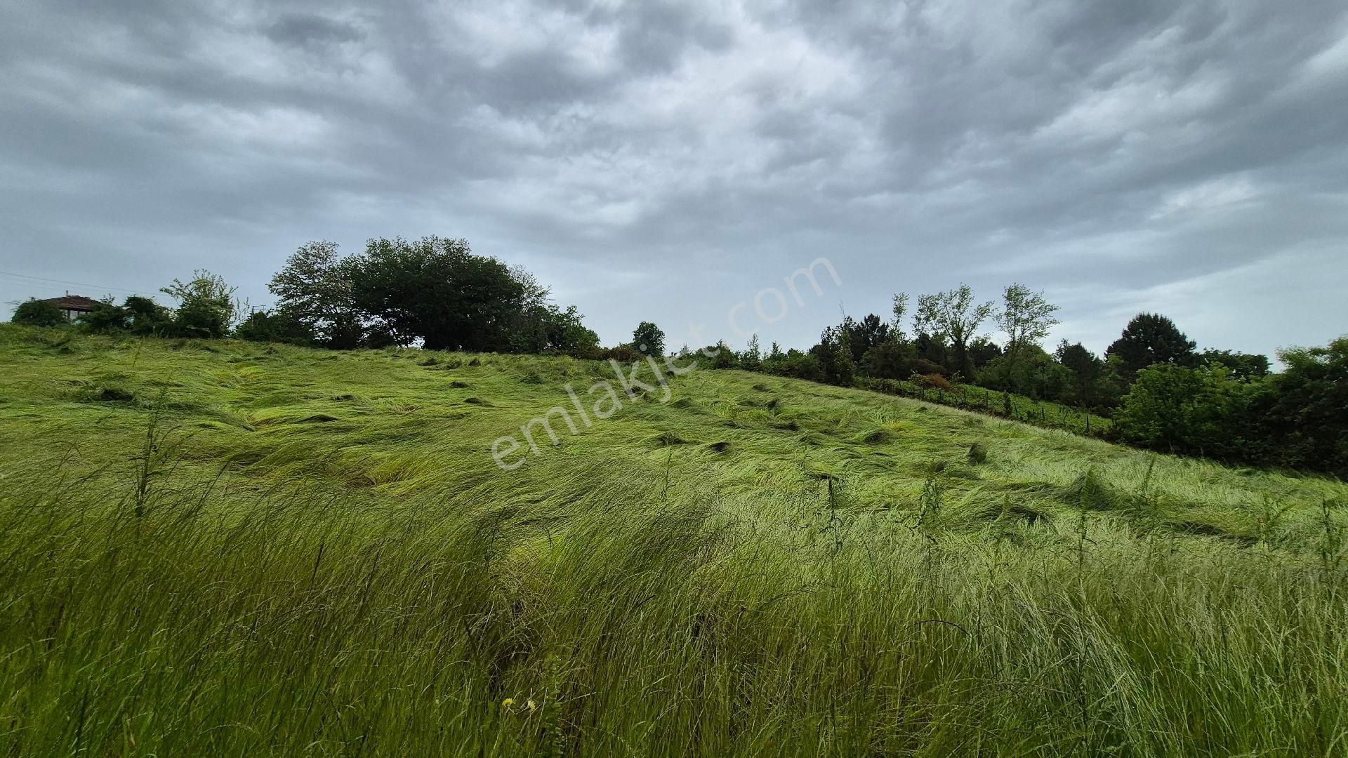 Kocaeli Kandıra Çamkonak Ta Ana Cadde Üzerinde Ormana Ve Denize Yakın - Görsel 9