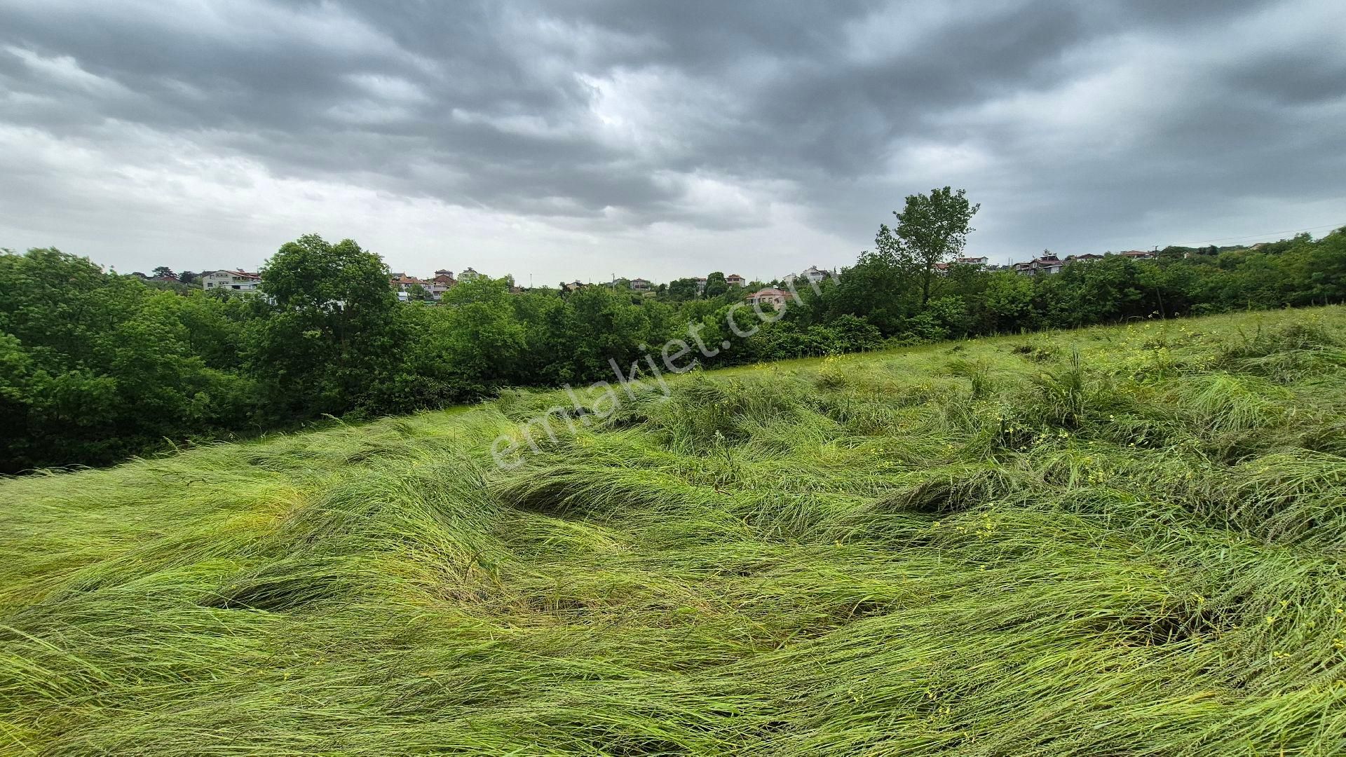Kocaeli Kandıra Çamkonak Ta Ana Cadde Üzerinde Ormana Ve Denize Yakın - Görsel 14
