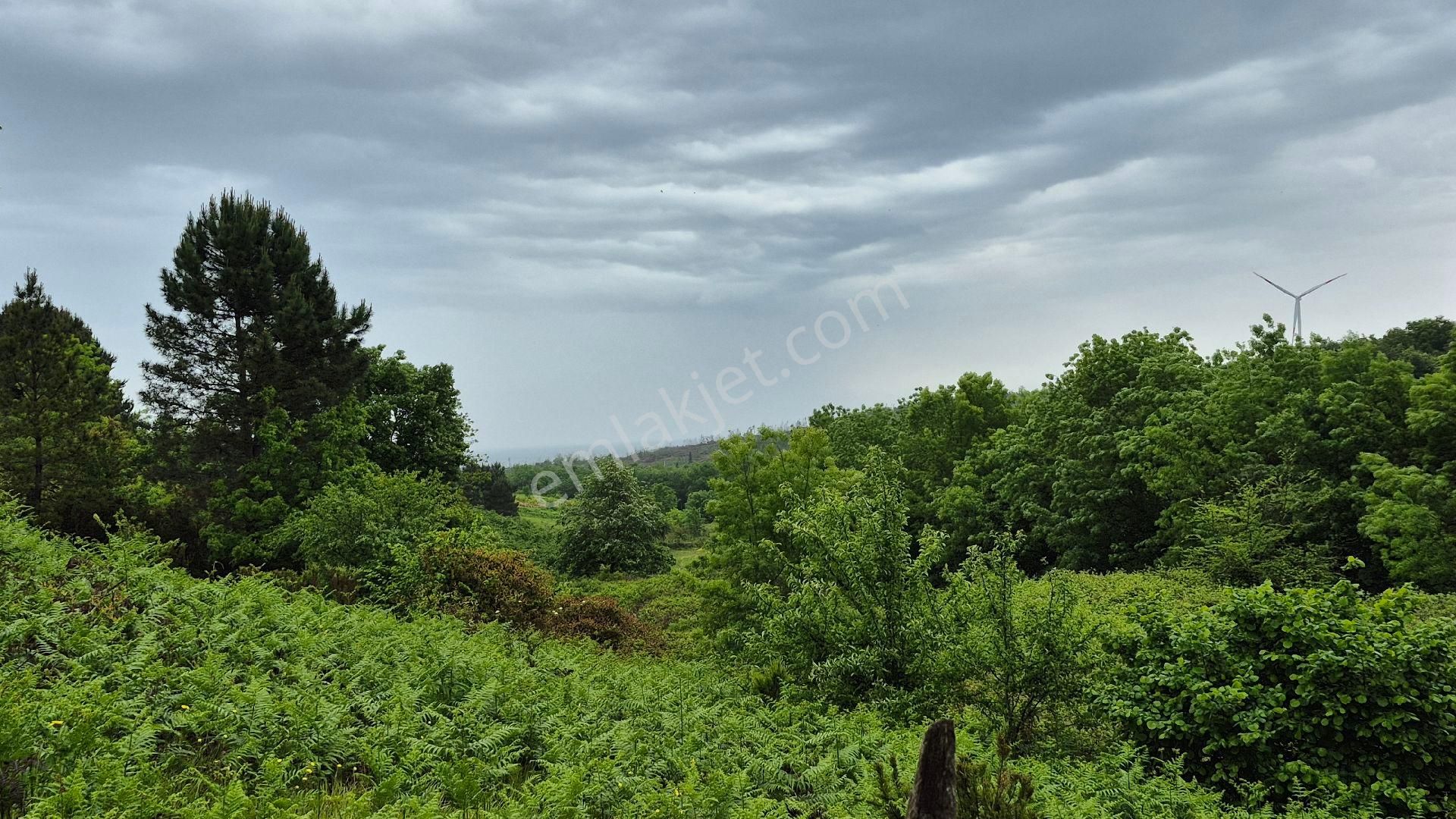 Kocaeli Kandıra Çamkonak Ta Ana Cadde Üzerinde Ormana Ve Denize Yakın - Görsel 10