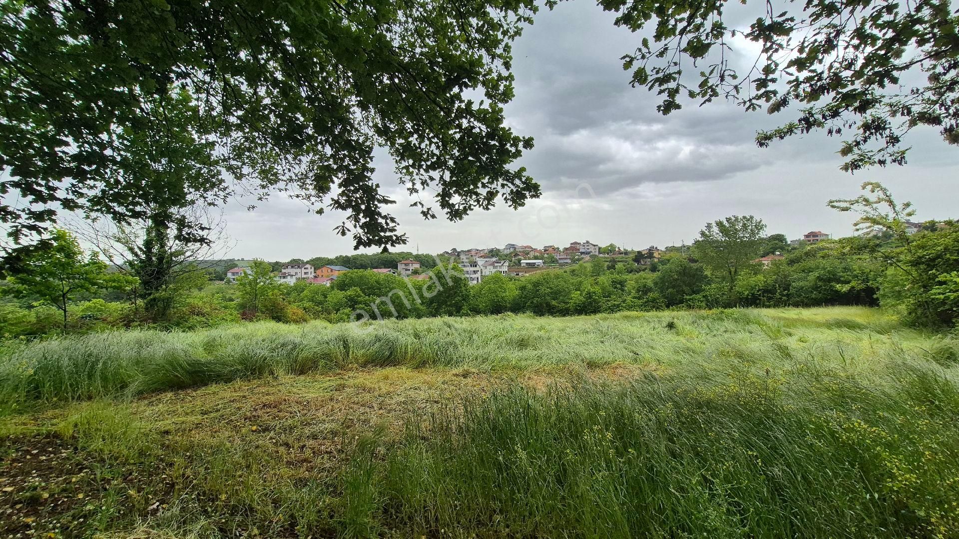 Kocaeli Kandıra Çamkonak Ta Ana Cadde Üzerinde Ormana Ve Denize Yakın - Görsel 12