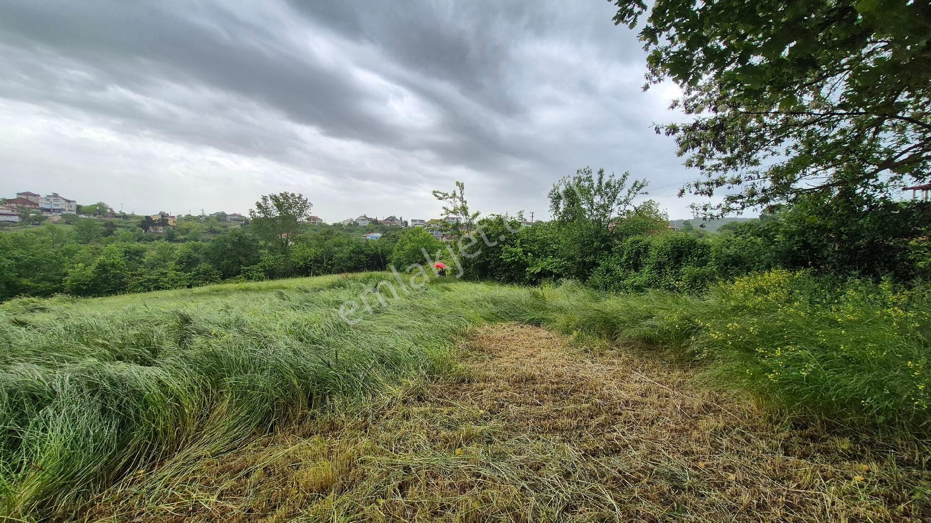 Kocaeli Kandıra Çamkonak Ta Ana Cadde Üzerinde Ormana Ve Denize Yakın - Görsel 17