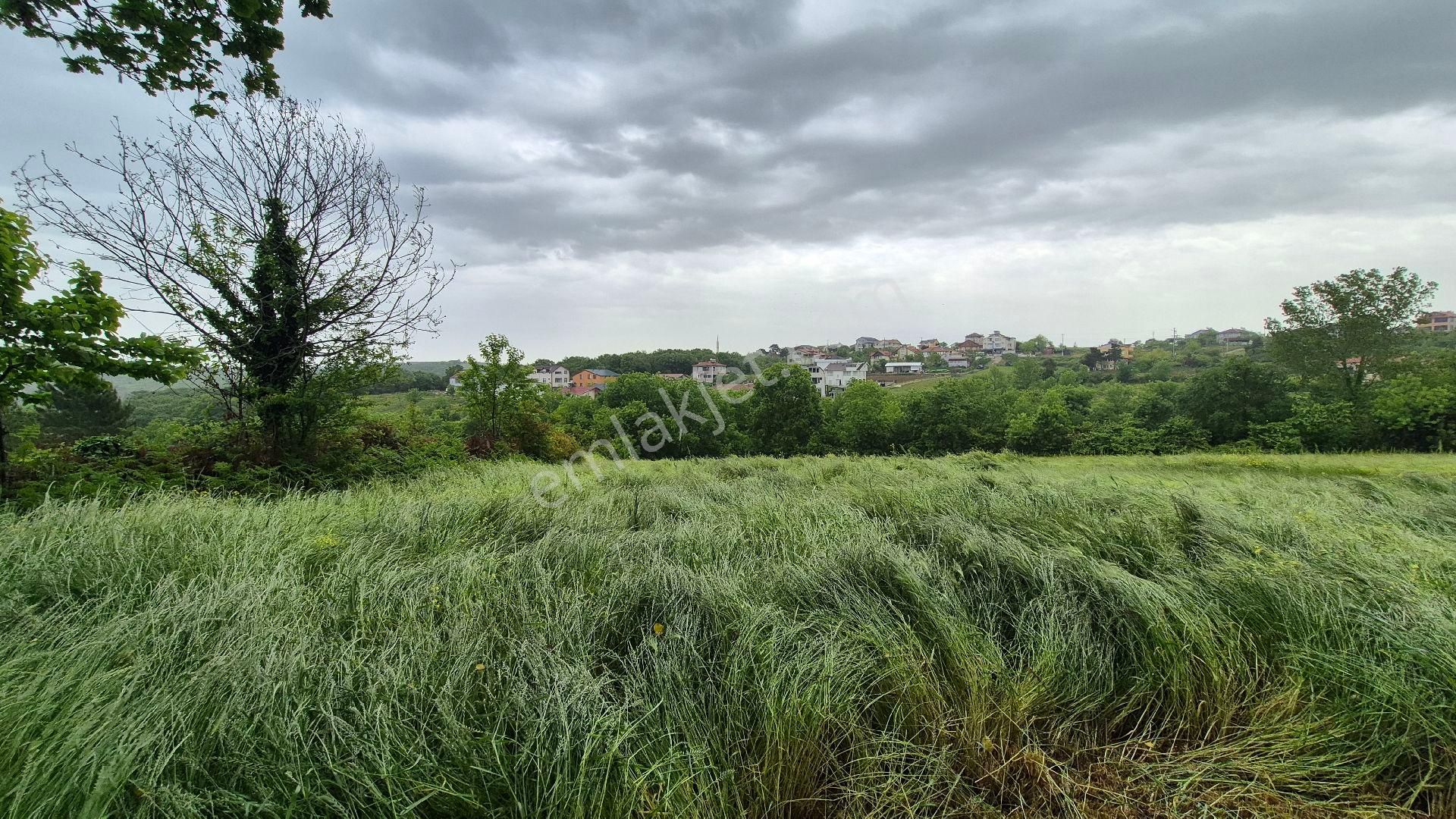 Kocaeli Kandıra Çamkonak Ta Ana Cadde Üzerinde Ormana Ve Denize Yakın - Görsel 18