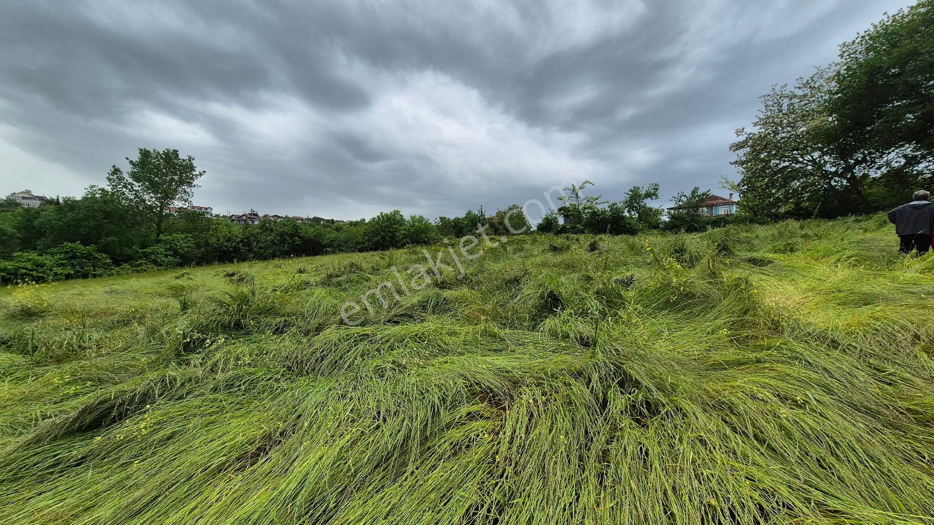 Kocaeli Kandıra Çamkonak Ta Ana Cadde Üzerinde Ormana Ve Denize Yakın - Görsel 15