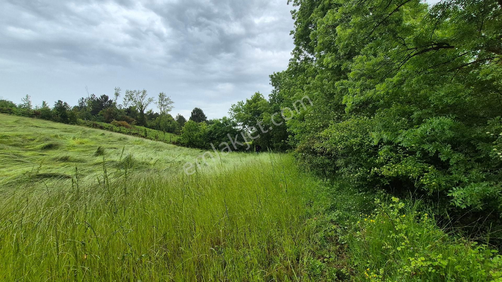 Kocaeli Kandıra Çamkonak Ta Ana Cadde Üzerinde Ormana Ve Denize Yakın - Görsel 16