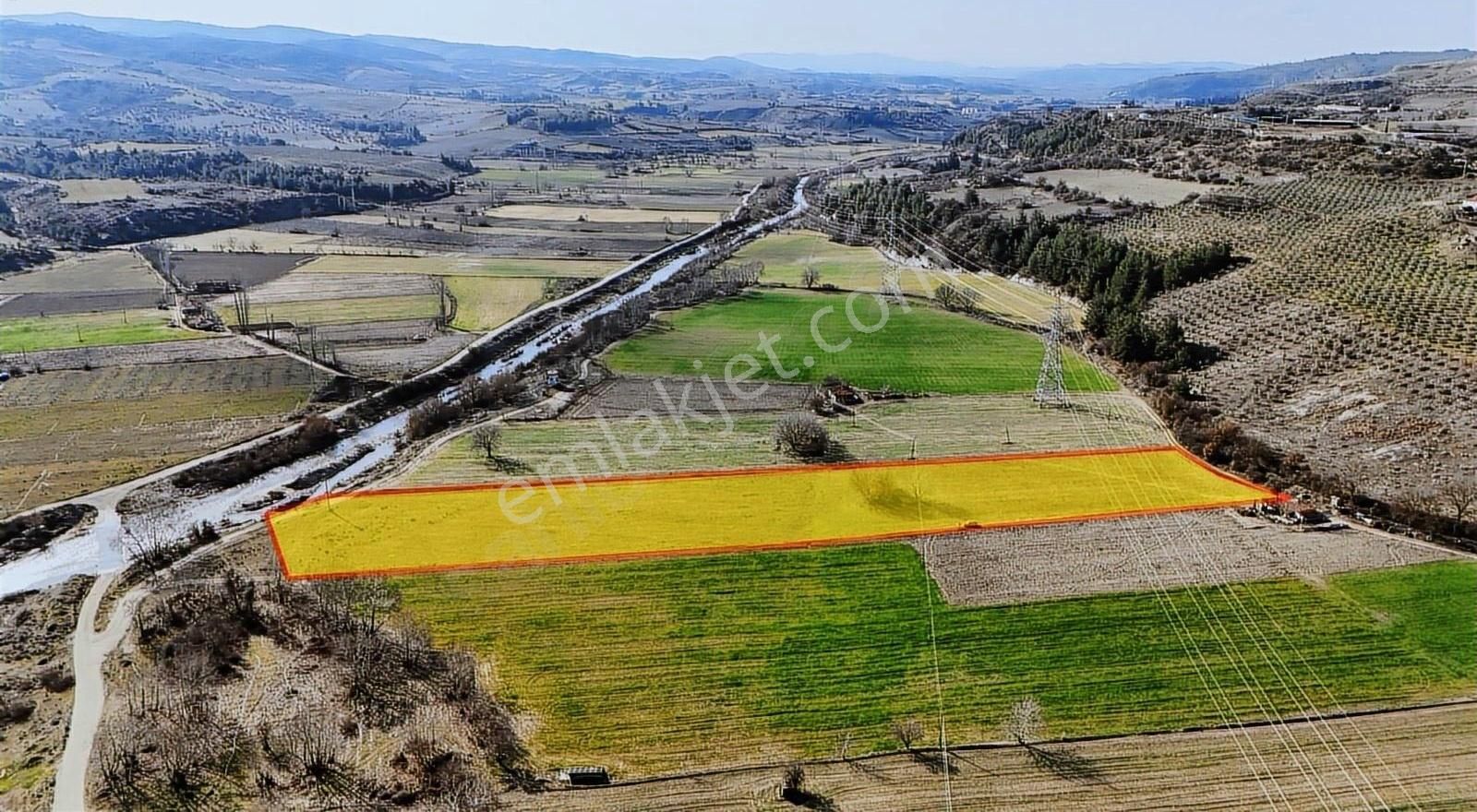 Çay Kenarı Sulu Tarıma Uygun Verimli Satılık Tarla