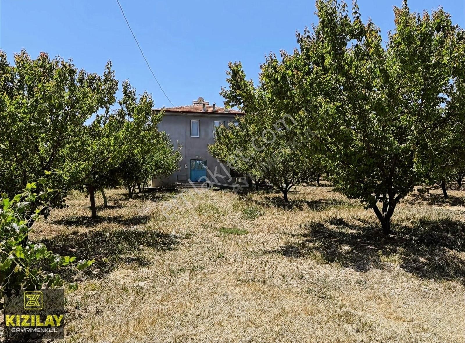 Kızılay Gayrimenkulden Akçadağ Ilıcak Ekiciler Mevki Bahçe+ev