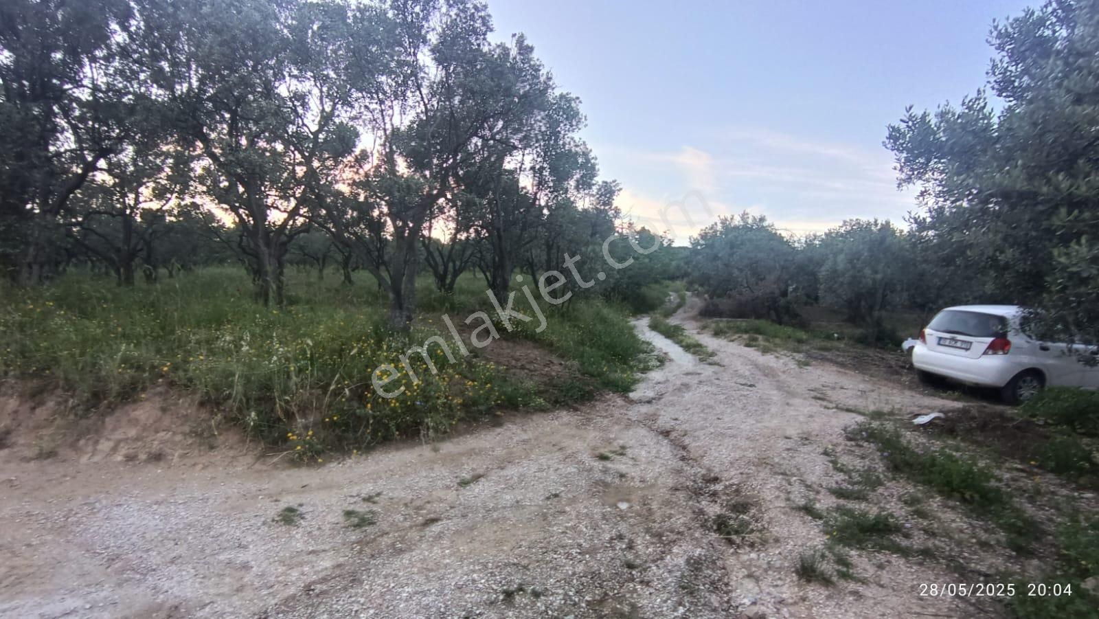 Balıkesir Erdek Hamamlı Mah. 13948 M2 Satılık Zeytinlik Bağ Deniz Manzaralı - Görsel 32