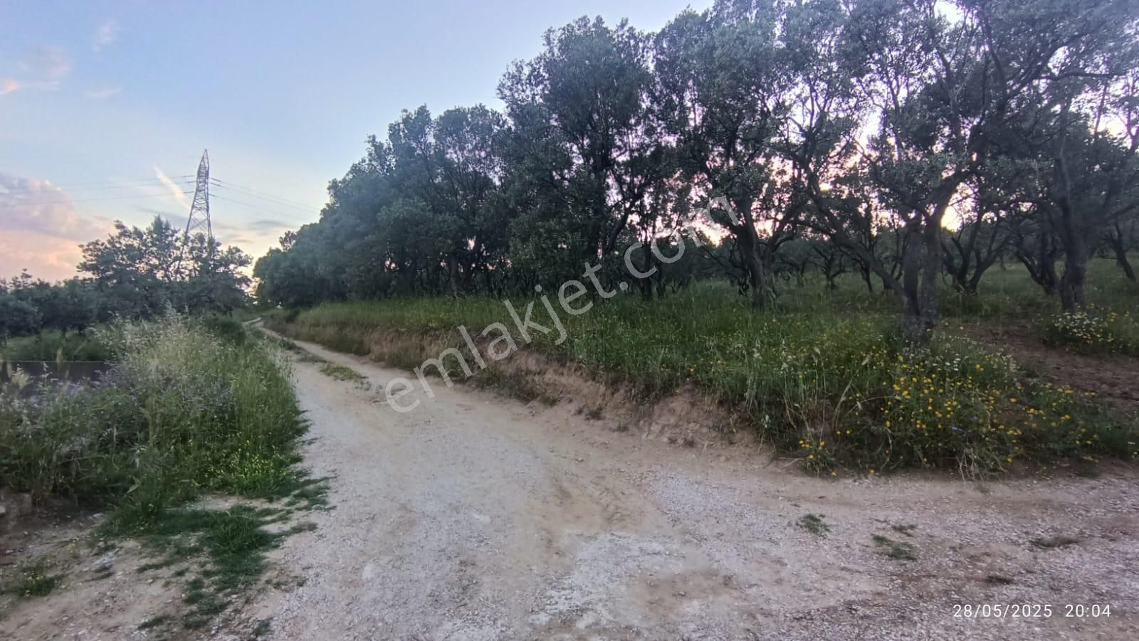 Balıkesir Erdek Hamamlı Mah. 13948 M2 Satılık Zeytinlik Bağ Deniz Manzaralı - Görsel 31