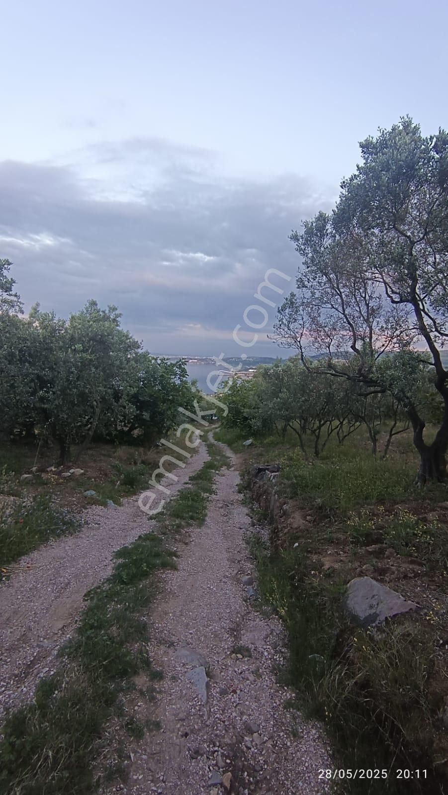 Balıkesir Erdek Hamamlı Mah. 13948 M2 Satılık Zeytinlik Bağ Deniz Manzaralı - Görsel 22