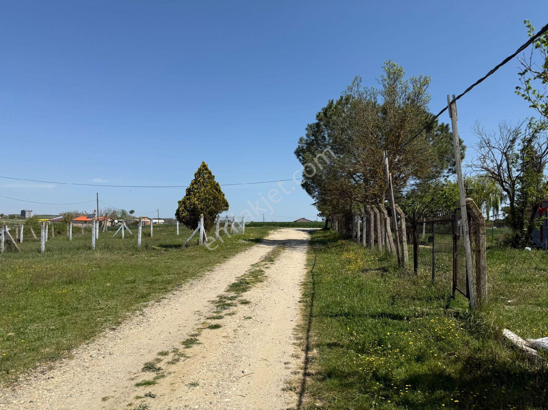 Tekirdağ Saray Büyükyoncalı Mh Satılık Müstakil Bina - Görsel 9