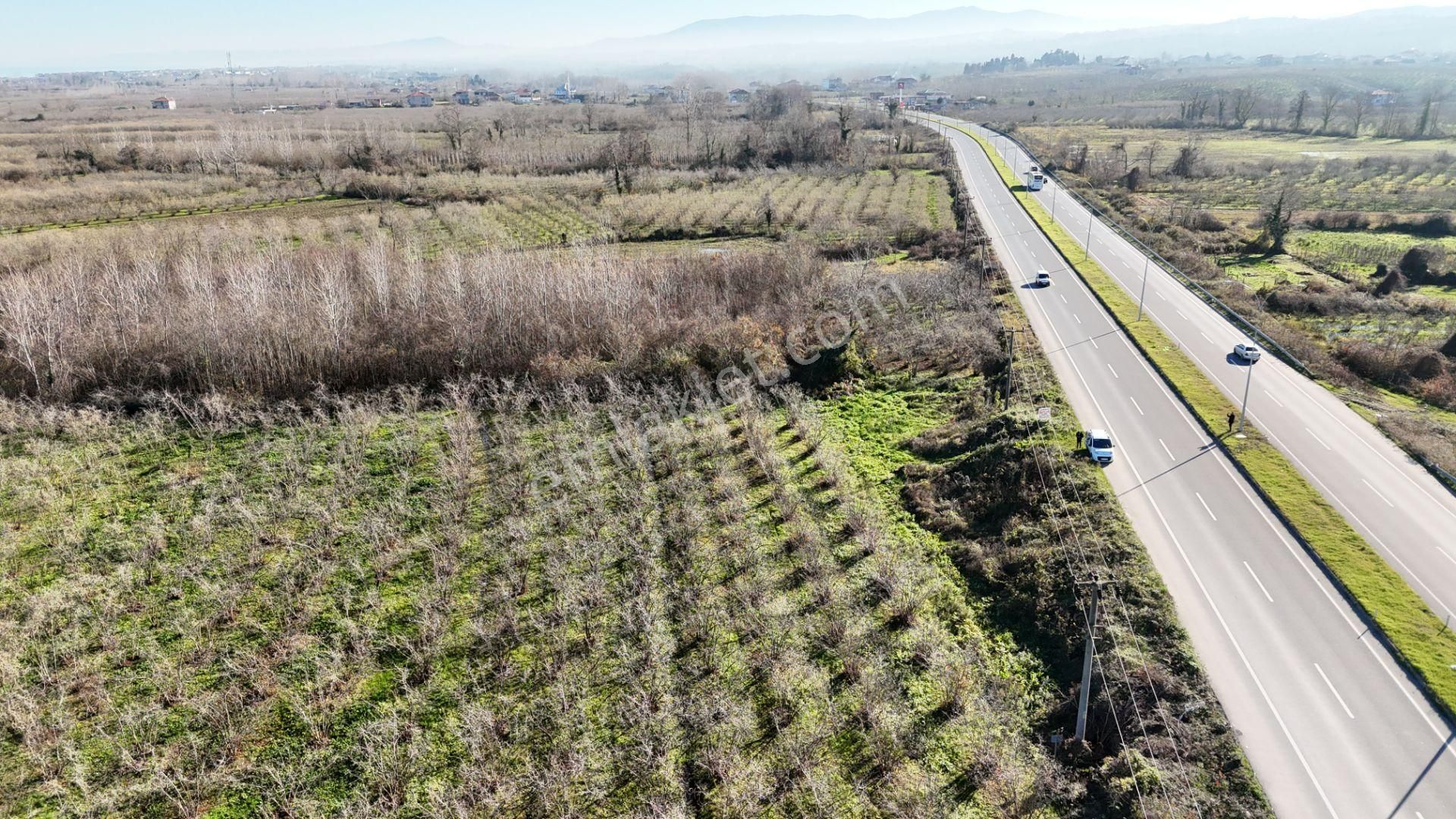 Yılmaz İnşaattan Anayol Cepheli 547 M2 Tek Tapu 1.449.999 Tl
