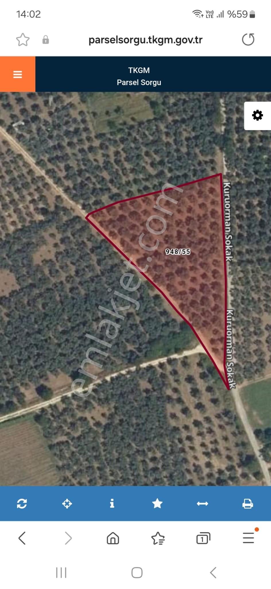 Zeytının Kalbınde Bursa Orhangazı'de Satılık Zeytınlık