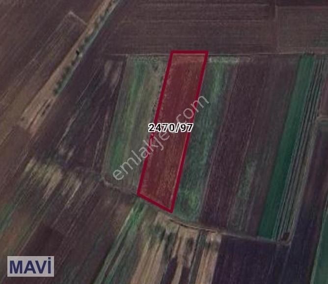 Serdivanda Satılık Tarla 6115m² Re/max Mavi Tuncay Şen'den