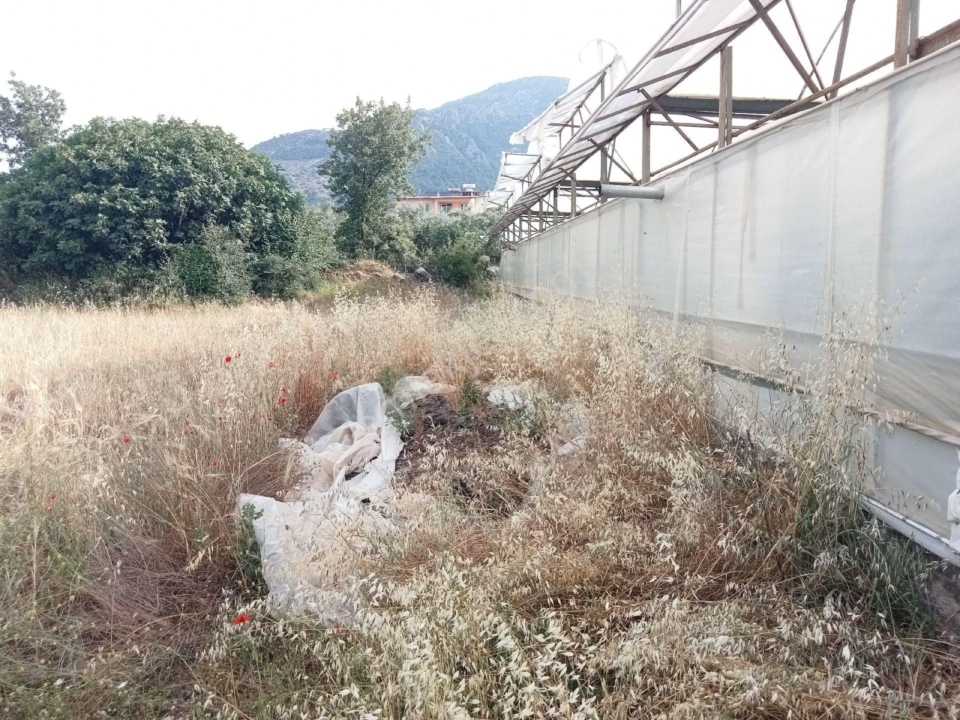 Falcon Dan Fethiye Bozyer De Fırsat Tarla - Görsel 5