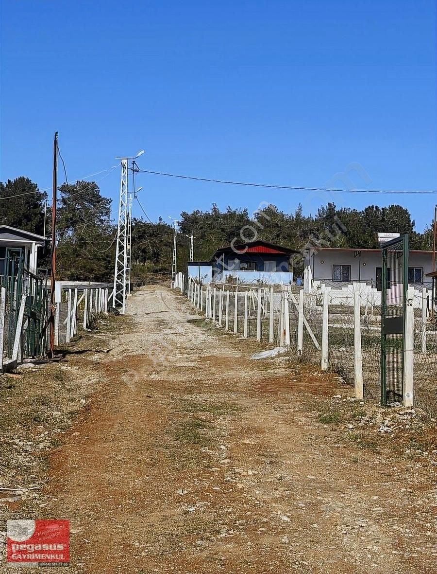 Pegasus'tan Adana Çukurova Pirilide Hobi Bahçesi - Görsel 10