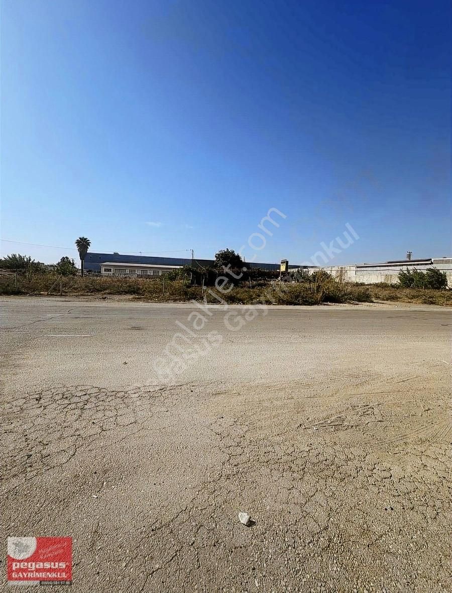 Pegasus Gayrimenkulden Ticaret Turizm İmarlı Arsa - Görsel 4